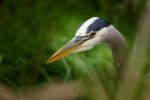 _DSC6328.jpg