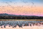 b160514-edit-edit.jpg