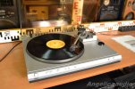 Tesla-MC-600-Q-Angelicaaudio.jpg