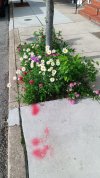 IMG_20250506_170654.jpg