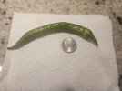 IMG_0572.jpeg