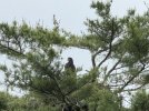 IMG_4280.jpeg