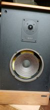 Advent Legacy II my speaker rev.jpg