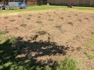 Garden 2025.jpg