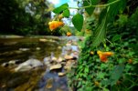 DSC_5494.JPG