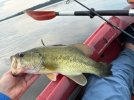 bass625masonneck.jpg