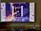 IMG_6862.jpeg