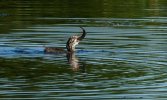 _DSC7183.jpg