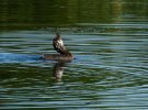 _DSC7187.jpg