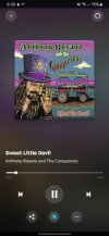 Screenshot_20250614_083912_Amazon Music.jpg