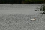 _DSC7540.jpg