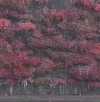 IMG_9819.jpeg