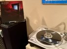 IMG_1629 Medium.jpeg