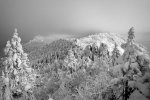 _DSC_img20.jpg