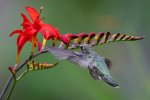 _DSC7886-Edit.jpg