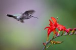 _DSC7856-Edit.jpg