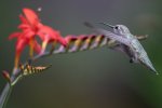 _DSC7770-Edit.jpg