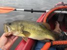 bass725mason.jpg