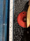 IMG_6119.jpeg IMG_6119.jpeg