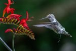 _DSC8393-Edit.jpg