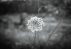 M1002834-LR-2.JPG