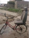 IMG_5480.jpeg