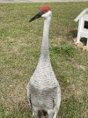 IMG_1573.jpeg