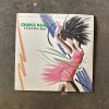 Chaka Khan - I Feel For You 45rpm.jpg