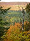 Oberg Mtn Sep 2011.JPG