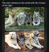 1755527638445.png