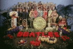 0ed3d314bd245c46add204ad4ceceeeb.gif