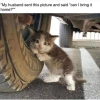 1755869404386.png