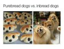 1755869538111.png