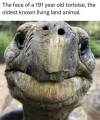1755869771915.png