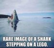 1755976595523.jpeg