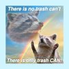 Raccoon Yes We Can.jpg