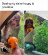 1756303526229.jpeg