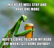praying mantis.jpg