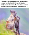 1756334748287.png
