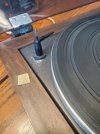 20250828_095523.jpg