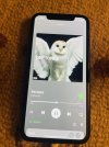 IMG_9870.jpeg