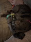 IMG_3493.jpeg