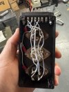 IMG_4021.jpeg