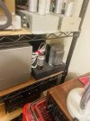 IMG_9980.jpeg