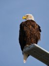 IMG_7415_polarr.jpeg