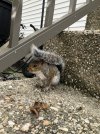 IMG_2415.jpeg