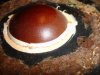 AR-3 Dome Coating.jpg