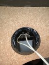 IMG_5395.jpeg