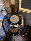 IMG_5393.jpeg