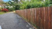 RedCedarFence.jpg